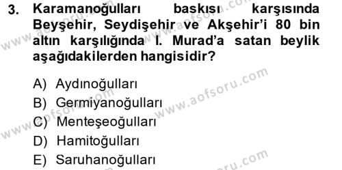 Ortaçağ ve Yeniçağ Türk Devletleri Tarihi Dersi 2014 - 2015 Yılı (Final) Dönem Sonu Sınavı 3. Soru