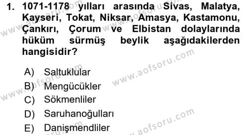 Ortaçağ ve Yeniçağ Türk Devletleri Tarihi Dersi 2016 - 2017 Yılı (Final) Dönem Sonu Sınavı 1. Soru