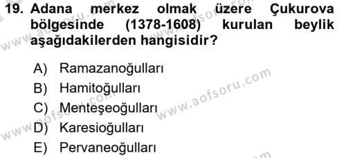 Ortaçağ ve Yeniçağ Türk Devletleri Tarihi Dersi 2017 - 2018 Yılı (Vize) Ara Sınavı 19. Soru