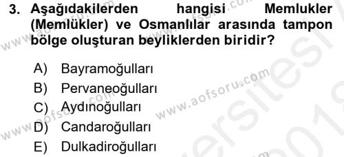 Ortaçağ ve Yeniçağ Türk Devletleri Tarihi Dersi 2017 - 2018 Yılı (Final) Dönem Sonu Sınavı 3. Soru