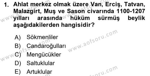 Ortaçağ ve Yeniçağ Türk Devletleri Tarihi Dersi 2018 - 2019 Yılı (Vize) Ara Sınavı 1. Soru