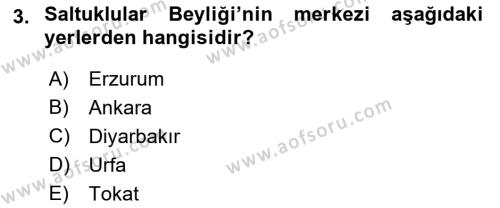 Ortaçağ ve Yeniçağ Türk Devletleri Tarihi Dersi 2018 - 2019 Yılı (Vize) Ara Sınavı 3. Soru