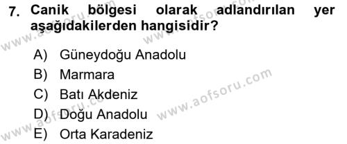 Ortaçağ ve Yeniçağ Türk Devletleri Tarihi Dersi 2018 - 2019 Yılı (Vize) Ara Sınavı 7. Soru