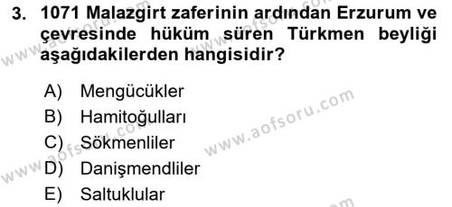 Ortaçağ ve Yeniçağ Türk Devletleri Tarihi Dersi 2018 - 2019 Yılı Yaz Okulu Sınavı 3. Soru