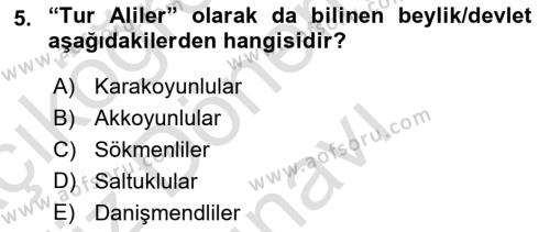 Ortaçağ ve Yeniçağ Türk Devletleri Tarihi Dersi 2019 - 2020 Yılı (Final) Dönem Sonu Sınavı 5. Soru