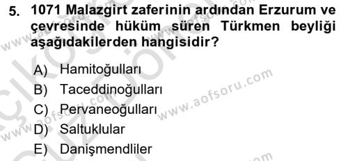 Ortaçağ ve Yeniçağ Türk Devletleri Tarihi Dersi 2021 - 2022 Yılı (Vize) Ara Sınavı 5. Soru