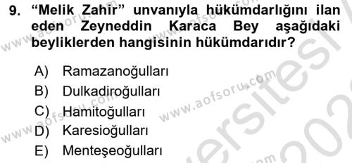 Ortaçağ ve Yeniçağ Türk Devletleri Tarihi Dersi 2021 - 2022 Yılı (Vize) Ara Sınavı 9. Soru