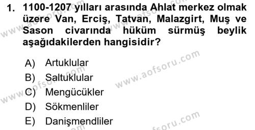 Ortaçağ ve Yeniçağ Türk Devletleri Tarihi Dersi 2022 - 2023 Yılı (Vize) Ara Sınavı 1. Soru