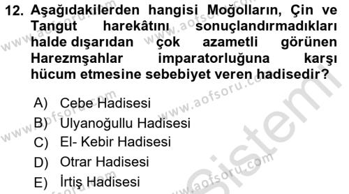 Ortaçağ ve Yeniçağ Türk Devletleri Tarihi Dersi 2023 - 2024 Yılı (Vize) Ara Sınavı 12. Soru