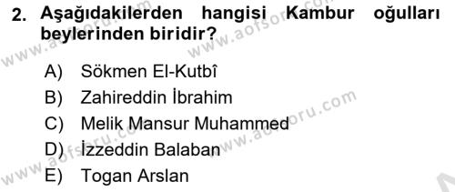 Ortaçağ ve Yeniçağ Türk Devletleri Tarihi Dersi 2023 - 2024 Yılı (Vize) Ara Sınavı 2. Soru