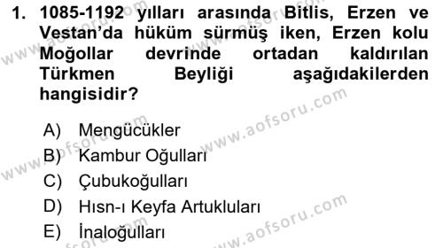 Ortaçağ ve Yeniçağ Türk Devletleri Tarihi Dersi 2024 - 2025 Yılı (Vize) Ara Sınavı 1. Soru