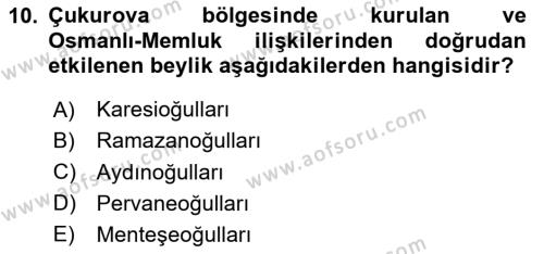 Ortaçağ ve Yeniçağ Türk Devletleri Tarihi Dersi 2024 - 2025 Yılı (Vize) Ara Sınavı 10. Soru