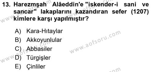 Ortaçağ ve Yeniçağ Türk Devletleri Tarihi Dersi 2024 - 2025 Yılı (Vize) Ara Sınavı 13. Soru