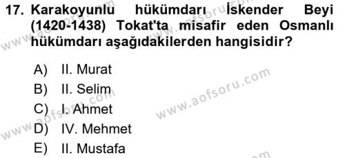 Ortaçağ ve Yeniçağ Türk Devletleri Tarihi Dersi 2024 - 2025 Yılı (Vize) Ara Sınavı 17. Soru