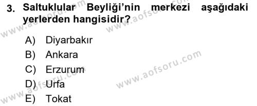 Ortaçağ ve Yeniçağ Türk Devletleri Tarihi Dersi 2024 - 2025 Yılı (Vize) Ara Sınavı 3. Soru