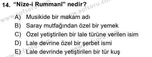 Osmanlı Tarihi (1566-1789) Dersi 2023 - 2024 Yılı (Final) Dönem Sonu Sınavı 14. Soru