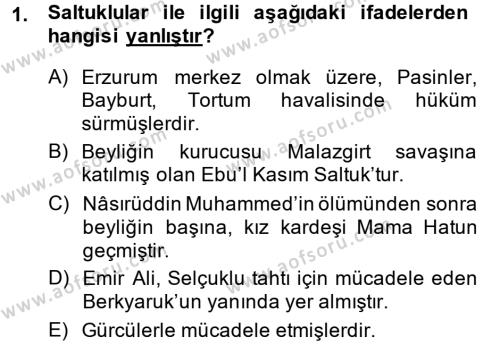 Türkiye Selçuklu Tarihi Dersi 2013 - 2014 Yılı (Final) Dönem Sonu Sınavı 1. Soru