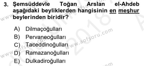 Türkiye Selçuklu Tarihi Dersi 2018 - 2019 Yılı (Vize) Ara Sınavı 3. Soru
