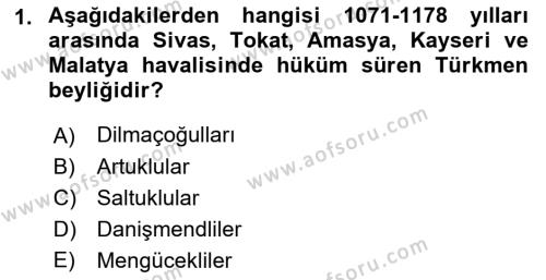 Türkiye Selçuklu Tarihi Dersi 2021 - 2022 Yılı Yaz Okulu Sınavı 1. Soru