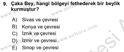 Türkiye Selçuklu Tarihi Dersi 2024 - 2025 Yılı (Vize) Ara Sınavı 9. Soru