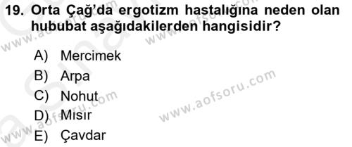 Orta Çağ-Yeni Çağ Avrupa Tarihi Dersi 2018 - 2019 Yılı (Vize) Ara Sınavı 19. Soru