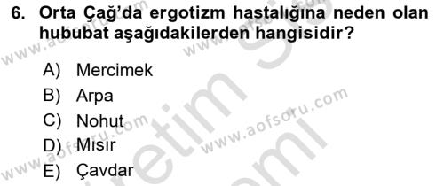 Ortaçağ-Yeniçağ Avrupa Tarihi Dersi 2021 - 2022 Yılı (Vize) Ara Sınavı 6. Soru