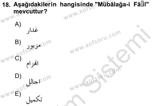 Osmanlı Türkçesi Metinleri 1 Dersi 2023 - 2024 Yılı (Vize) Ara Sınavı 18. Soru