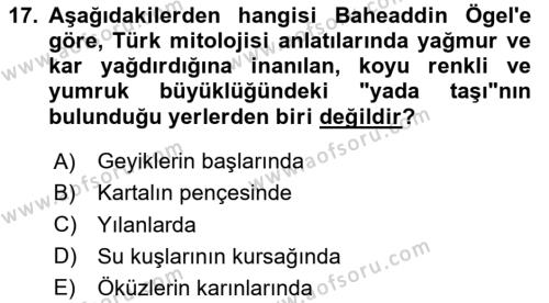 Türk Mitolojisi Dersi 2024 - 2025 Yılı (Vize) Ara Sınavı 17. Soru