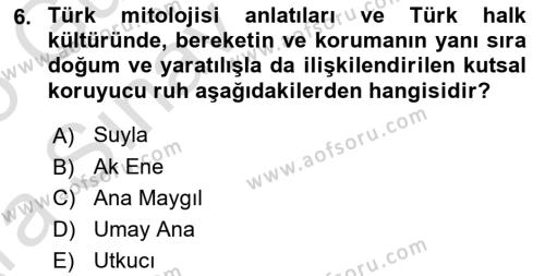Türk Mitolojisi Dersi 2024 - 2025 Yılı (Vize) Ara Sınavı 6. Soru