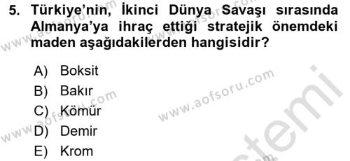 Türkiye Cumhuriyeti İktisat Tarihi Dersi 2023 - 2024 Yılı (Final) Dönem Sonu Sınavı 5. Soru