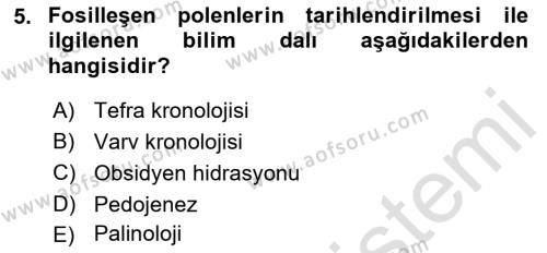 Tarihi Coğrafya Dersi 2019 - 2020 Yılı (Final) Dönem Sonu Sınavı 5. Soru