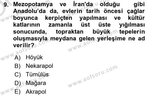 Tarihi Coğrafya Dersi 2020 - 2021 Yılı Yaz Okulu Sınavı 9. Soru