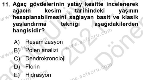 Tarihi Coğrafya Dersi 2021 - 2022 Yılı (Final) Dönem Sonu Sınavı 11. Soru