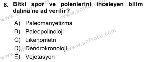 Tarihi Coğrafya Dersi 2021 - 2022 Yılı Yaz Okulu Sınavı 8. Soru