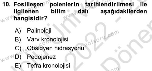 Tarihi Coğrafya Dersi 2022 - 2023 Yılı (Final) Dönem Sonu Sınavı 10. Soru