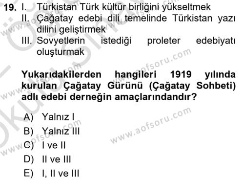 XIX. Yüzyıl Türk Dünyası Dersi 2021 - 2022 Yılı Yaz Okulu Sınavı 19. Soru