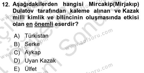 XIX. Yüzyıl Türk Dünyası Dersi 2023 - 2024 Yılı (Final) Dönem Sonu Sınavı 12. Soru