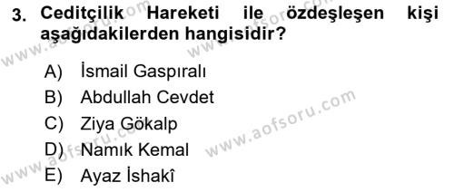 XIX. Yüzyıl Türk Dünyası Dersi 2023 - 2024 Yılı (Final) Dönem Sonu Sınavı 3. Soru