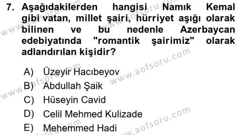 XIX. Yüzyıl Türk Dünyası Dersi 2023 - 2024 Yılı (Final) Dönem Sonu Sınavı 7. Soru