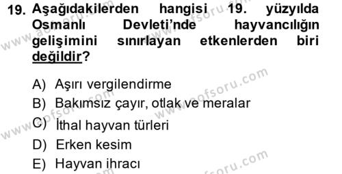 Osmanlı İktisat Tarihi Dersi 2014 - 2015 Yılı (Vize) Ara Sınavı 19. Soru