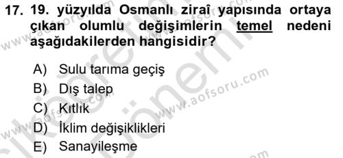 Osmanlı İktisat Tarihi Dersi 2023 - 2024 Yılı (Vize) Ara Sınavı 17. Soru