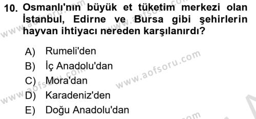 Osmanlı İktisat Tarihi Dersi 2024 - 2025 Yılı (Vize) Ara Sınavı 10. Soru