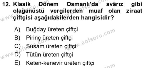 Osmanlı İktisat Tarihi Dersi 2024 - 2025 Yılı (Vize) Ara Sınavı 12. Soru