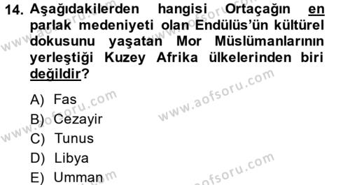 Modern Ortadoğu Tarihi Dersi 2013 - 2014 Yılı (Final) Dönem Sonu Sınavı 14. Soru