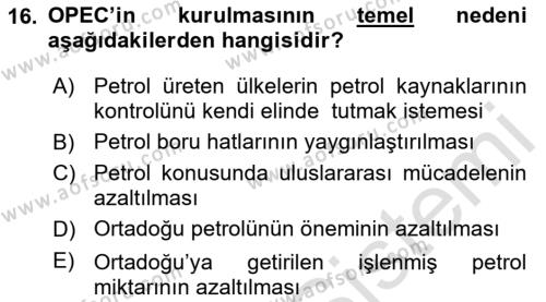 Modern Ortadoğu Tarihi Dersi 2020 - 2021 Yılı Yaz Okulu Sınavı 16. Soru