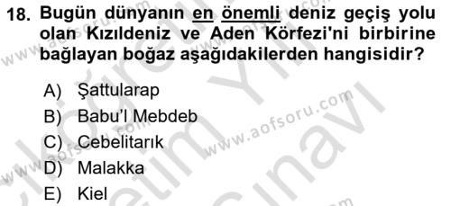 Modern Ortadoğu Tarihi Dersi 2021 - 2022 Yılı (Vize) Ara Sınavı 18. Soru