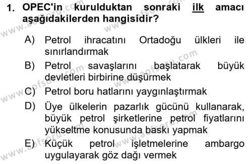 Modern Ortadoğu Tarihi Dersi 2021 - 2022 Yılı Yaz Okulu Sınavı 1. Soru