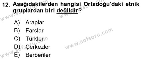 Modern Ortadoğu Tarihi Dersi 2021 - 2022 Yılı Yaz Okulu Sınavı 12. Soru