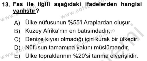 Modern Ortadoğu Tarihi Dersi 2021 - 2022 Yılı Yaz Okulu Sınavı 13. Soru