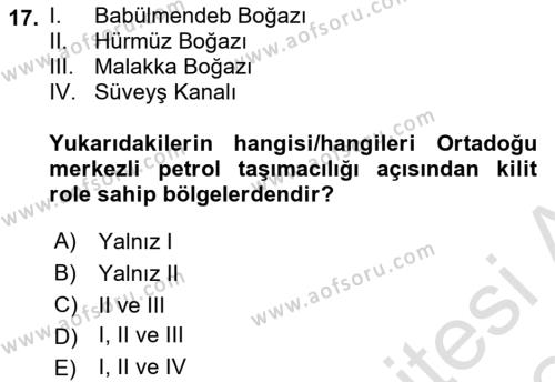 Modern Ortadoğu Tarihi Dersi 2023 - 2024 Yılı (Final) Dönem Sonu Sınavı 17. Soru